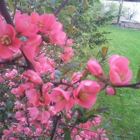 Anna Apartmán *